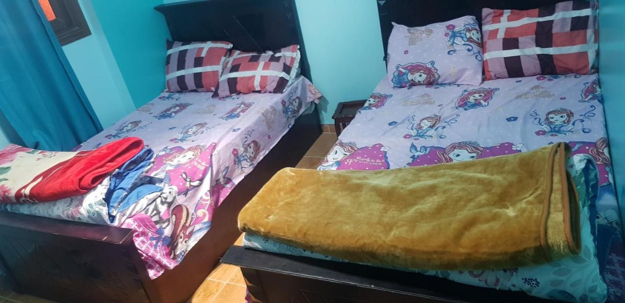 Mody Appartment At Alexandria Bagian luar foto